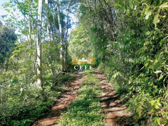 Imagem Chácara - Sítio com 4 Dormitorio(s) localizado(a) no bairro Pinhal Alto em Nova Petrópolis / RIO GRANDE DO SUL Ref.:1548