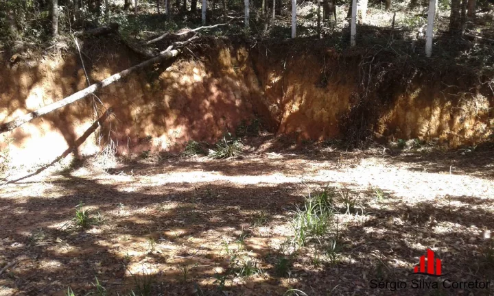 Imagem Terreno a Venda no Loteamento Nova Capivari, Campos do Jordão.