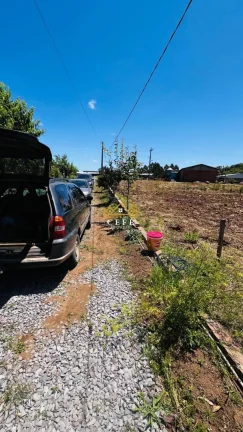 Imagem Chácara - Sítio com 2 Dormitorio(s) localizado(a) no bairro Padre Eterno Ilges em Santa Maria do Herval / RIO GRANDE DO SUL Ref.:1591