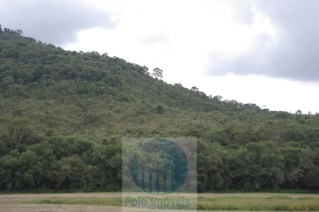 Imagem Sitio 8,23 alqueires ou 19,93 ha para compensação de Reserva, R$ 60 mil o alqueire - Jacuí - Minas Gerais.
