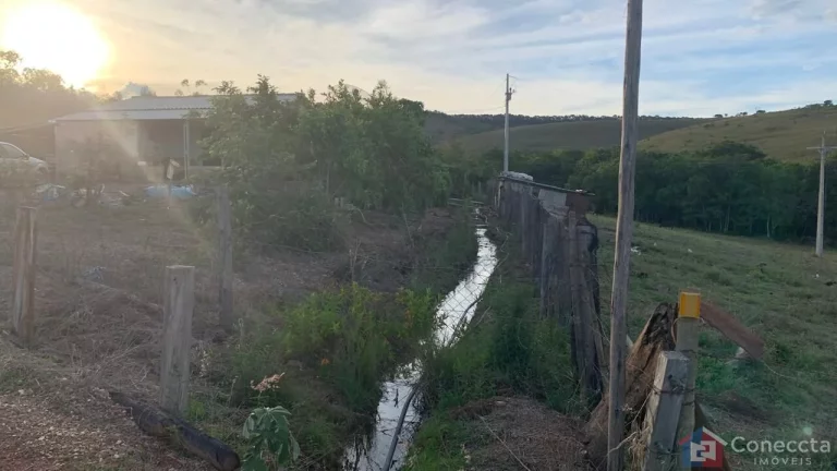 Imagem Sítio à Venda na Comunidade Caixetas – Guimarânia-MG | 11,9 Hectares com Casa de 186m² – R$ 700 Mil