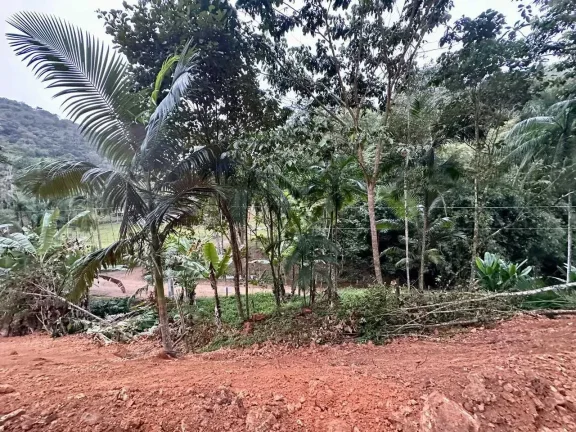 Imagem Terreno rural com 30.142,92m² em Massaranduba/SC