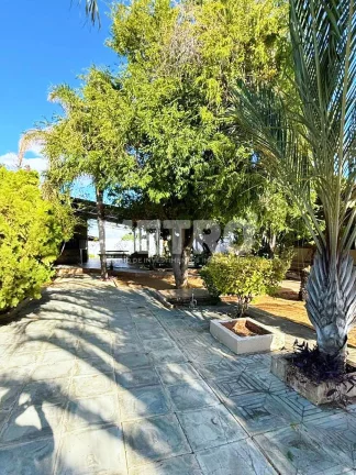 Imagem Chácara à venda na Estrada do Rodeadouro, 3 quartos, Gourmet, Piscina, Petrolina