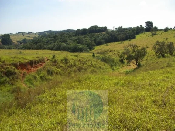 Imagem SÍTIO A VENDA 12,5 ALQUEIRES a R$ 88.000 o Alqueire, JACUÍ - SUL DE MINAS GERAIS, para gado, milho, soja.