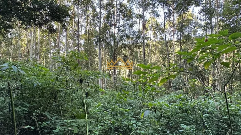 Imagem Chácara - Sítio com 1 Dormitorio(s) localizado(a) no bairro Pinhal Alto em Nova Petrópolis / RIO GRANDE DO SUL Ref.:1472