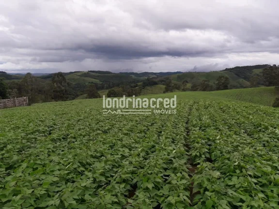 Imagem Chácara à venda 744000M², Zona Rural, Castro - PR