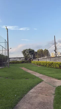 Imagem Apartamento no Jardim Samambaia