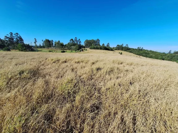 Imagem Sítio a venda com 9 Hectares, Passo da Areia, Viamão/RS