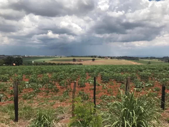 Imagem Terreno INDUSTRIAL á 1km Castelo Branco km99 sentido Sorocaba (Próx. Empres