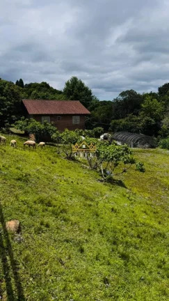 Imagem Chácara - Sítio com 2 Dormitorio(s) localizado(a) no bairro Serra Grande em Três Coroas / RIO GRANDE DO SUL Ref.:1597