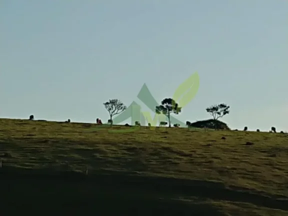 Imagem Fazenda espetacular de 65 alqueires em Joanópolis
