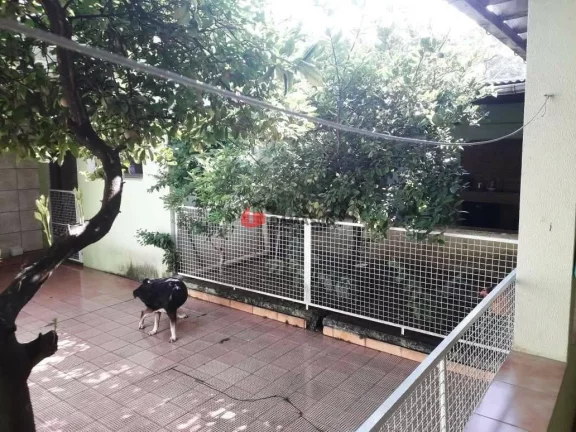 Imagem Casa à venda 3 Quartos, 2 Vagas, 207M², Osvaldo Cruz, São Caetano do Sul - SP