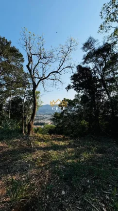 Imagem Chácara - Sítio com 1 Dormitorio(s) localizado(a) no bairro Zona Rural em Nova Hartz / RIO GRANDE DO SUL Ref.:1583