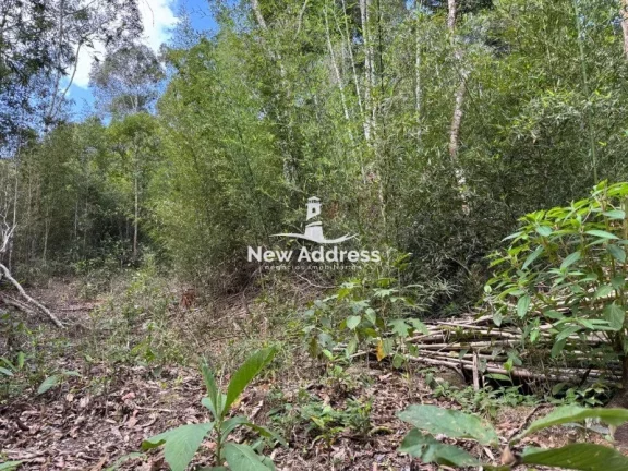Imagem Terreno com nascente à venda em Soído de Cima - Domingos Martins