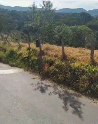 Imagem Terreno à venda, 1200 m² por R$ 160.000,00 - Tenentes - Extrema/MG