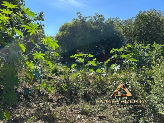 Imagem Lote de 681 m2 no centro de Cava Grande - COD 1434