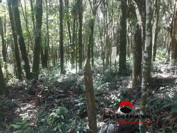 Imagem Terreno a Venda na Região da Vila Natal em Campos do Jordão - SP.