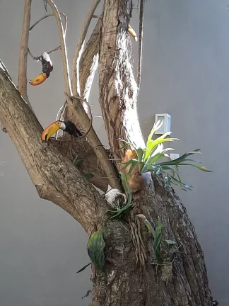 Imagem CASA RESIDENCIAL em SÃO PAULO - SP, BOSQUE DA SAÚDE