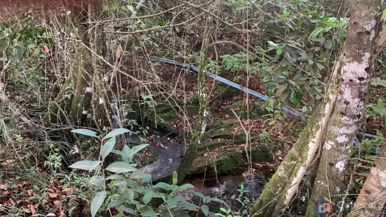 Imagem Sítio à Venda na Comunidade Caixetas – Guimarânia-MG | 11,9 Hectares com Casa de 186m² – R$ 700 Mil