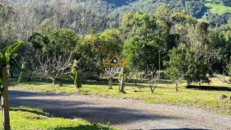 Imagem Chácara - Sítio com 4 Dormitorio(s) localizado(a) no bairro Linha Imperial em Nova Petrópolis / RIO GRANDE DO SUL Ref.:1506
