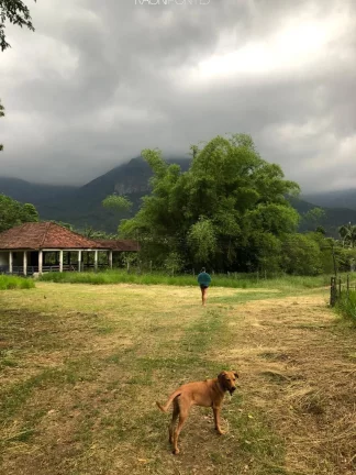 Imagem Fazenda à Venda, 840.000 m² em Mazomba - Itaguaí