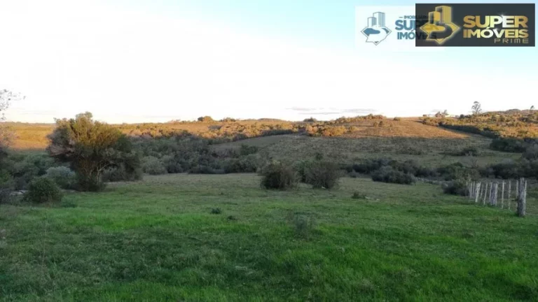 Imagem Sítio para Venda em Centro Piratini-RS - 2143