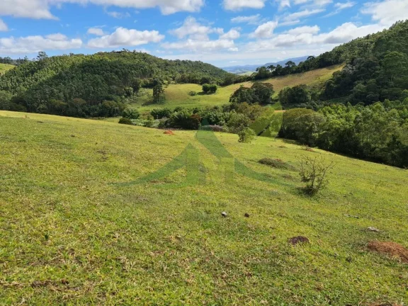 Imagem Lindo Sítio à Venda e Piracaia 20Alq