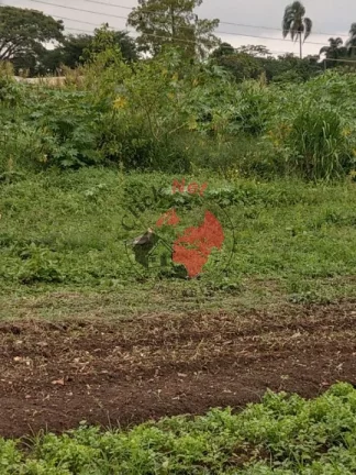 Imagem Área de 20.000 m2 ,Fundo com represa Taiaçupeba, bairro Jardim Mimosa, Suzano