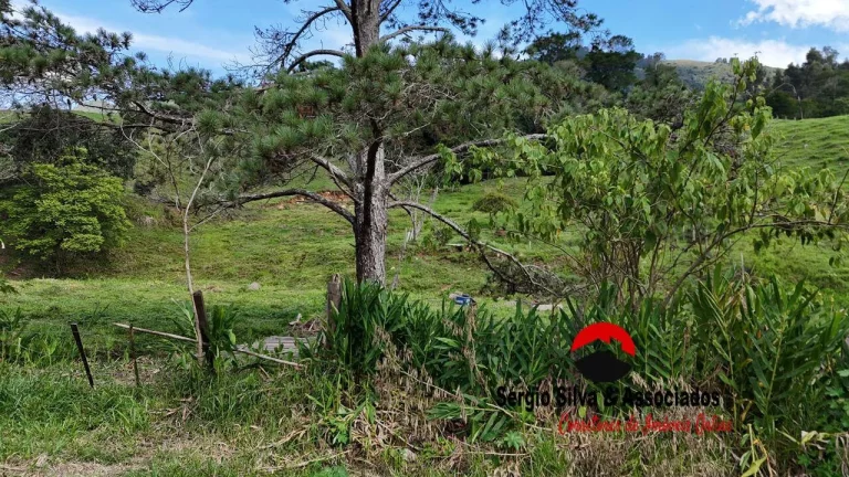 Imagem Lindo Terreno a Venda na Região do Baú em São Bento do Sapucaí ~ SP.
