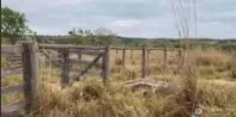 Imagem Fazenda à venda em Presidente Olegário – 58 hectares planos, mecanizáveis e com água