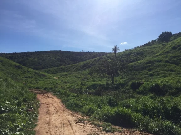 Imagem FAZENDA RURAL em COLATINA - ES, ÁREA RURAL DE COLATINA