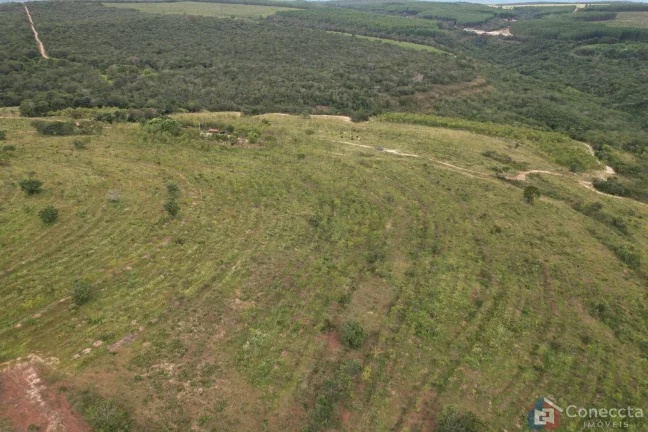 Imagem Fazenda em Centro, Presidente Olegário/MG