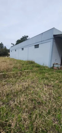 Imagem INVESTIDORES!!! - Sítio a venda com 3 Hectares, Pimenta, Viamão/RS