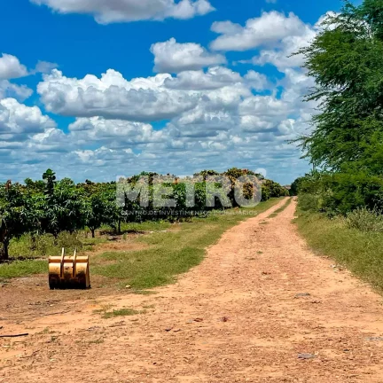 Imagem Fazenda produzindo à venda com 210 hectares, margem do Rio São Francisco- PE