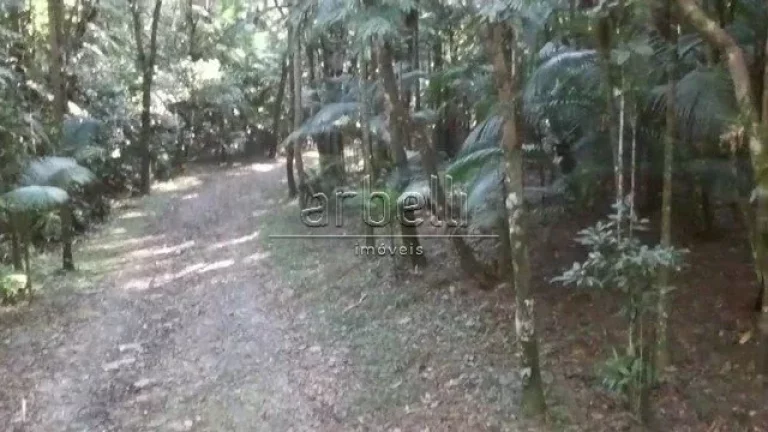 Imagem Sitio com duas casas, a primeira casa de tijolinho tem janelas de alumínio, churrasqueira, varanda ...