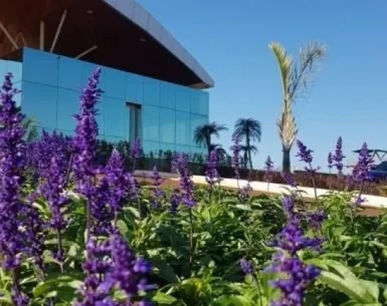 Imagem Terreno à venda no Centro de Cascavel-PR com 748,03 m² de área.