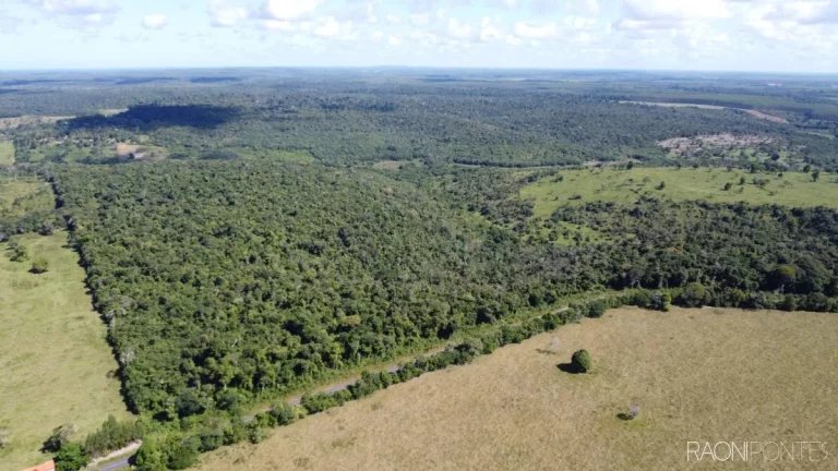 Imagem Fazenda à Venda, 7.140.000 m² em Zona Rural - Cardeal Da Silva