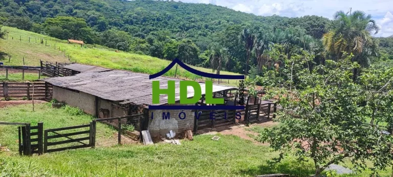 Imagem Fazenda Cultura forte com 25 Alqs em Hidrolândia