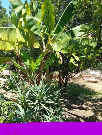 Imagem Chácara à venda em Campinas, Jardim Monte Belo, com 2 quartos, 110m2