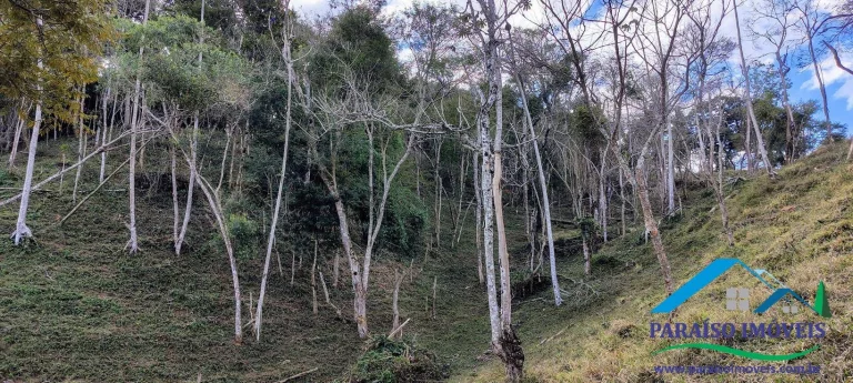 Imagem Oportunida Única! terreno Rural com nascentes no Caminho da Fé!