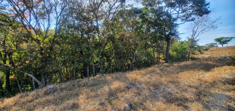 Imagem TERRENO RURAL em ESMERALDAS - MG, CAMPO ALEGRE