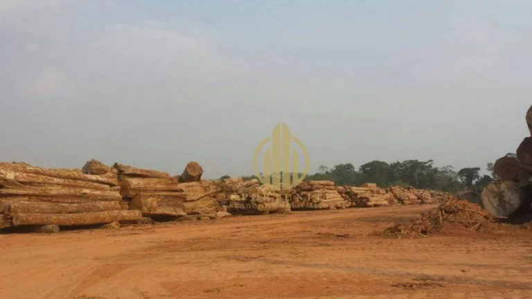 Imagem Fazenda à venda, - Área rural de Feijó - Feijó/AC
