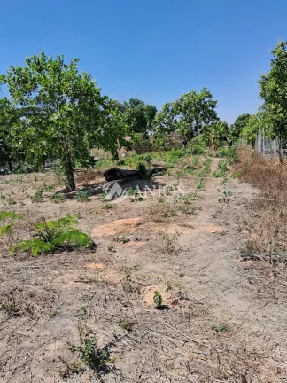 Imagem CHÁCARA DISPONIVEL PARA VENDA, NO CANTINHO DA FLORESTA I, EM SINOP - MT.