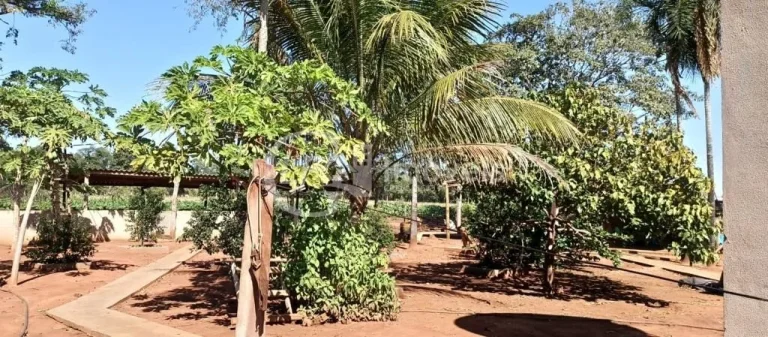 Imagem Chácara à venda em Terenos-MS, Zona Rural: 5 quartos, 1 suíte, 2 salas, 3 banheiros, 180m² de área!