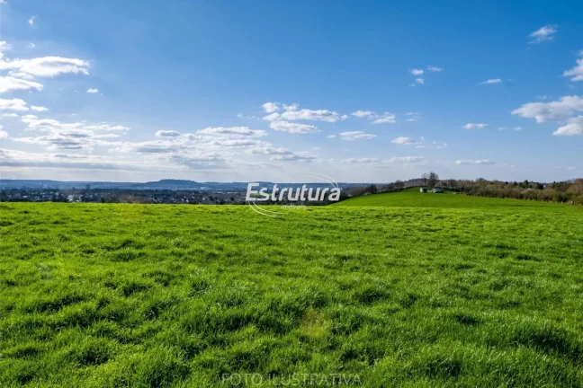Terreno com mato nativo ótimo para fazer uma chacara.