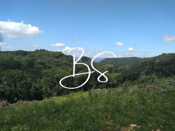 Imagem SITIO RURAL em IGREJINHA - RS, Serra Grande