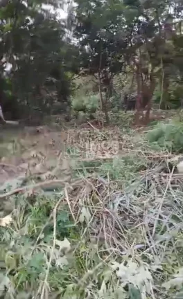 Imagem Lote à Venda no Lago Norte, Brasília – 800m² por R$750mil