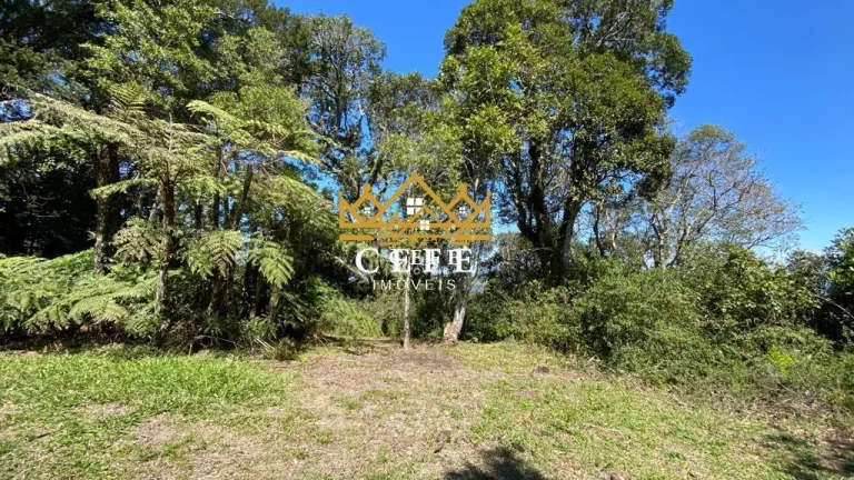 Imagem Chácara - Sítio com 4 Dormitorio(s) localizado(a) no bairro Mato Comprido em Morro Reuter / RIO GRANDE DO SUL Ref.:1404