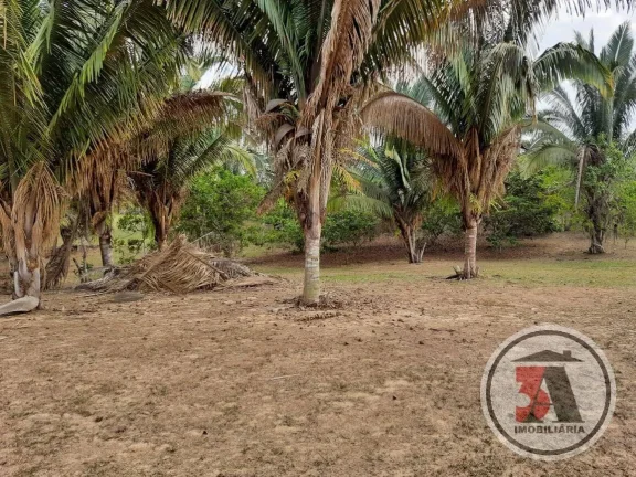 Imagem Sitio Estrada Belmont - 20.43 hectares