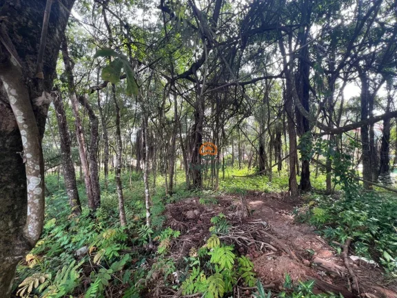 Imagem Terreno à venda, 1000 m² por R$ 280.000,00 - Condomínio Canto do Riacho - Lagoa Santa/MG